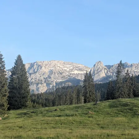 Allgaeu-genuss *
